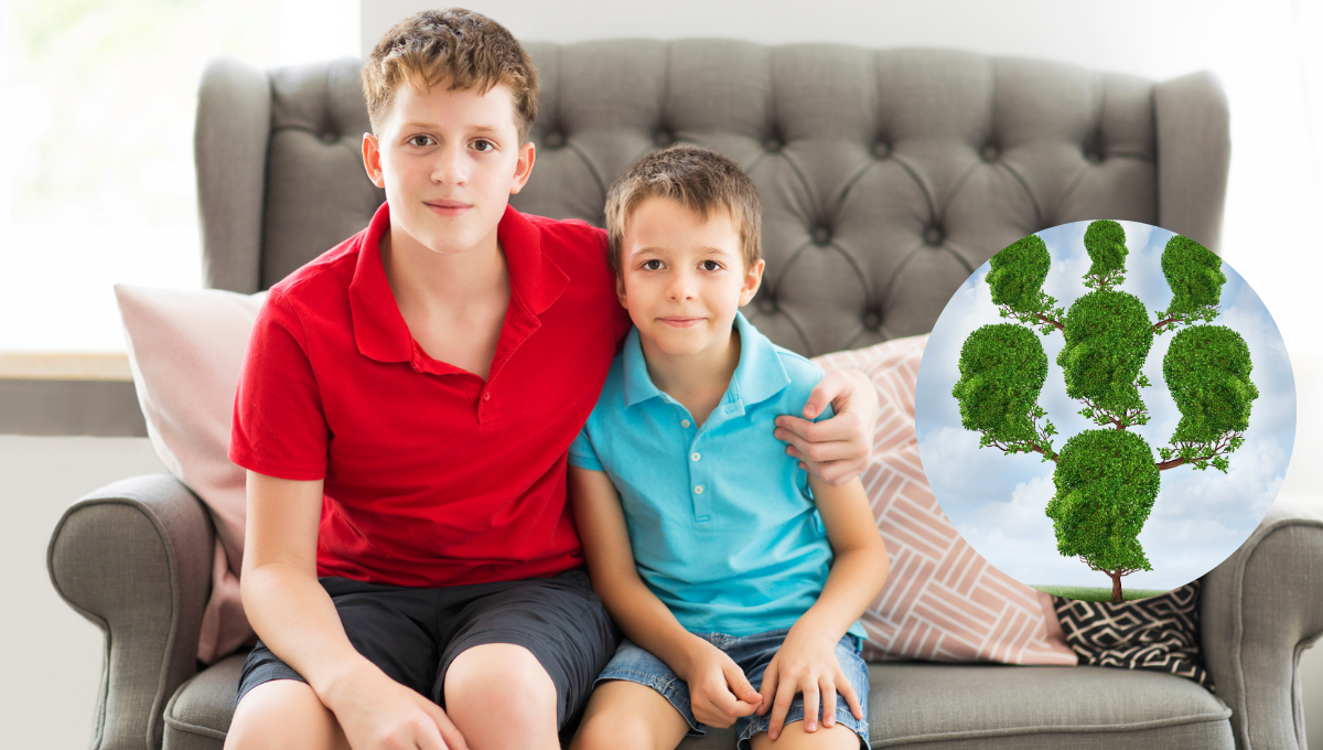 ¿Cuál es el significado del hermano mayor dentro del árbol genealógico?