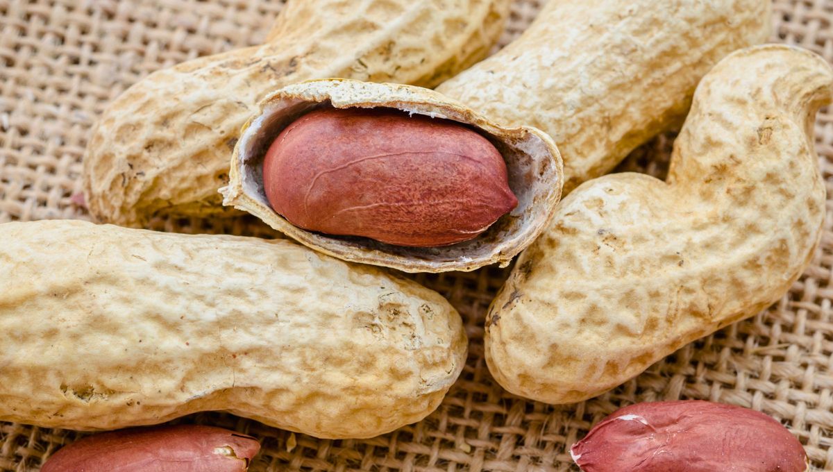 Cuando consumas man&iacute; con c&aacute;scara procura guardarlas.