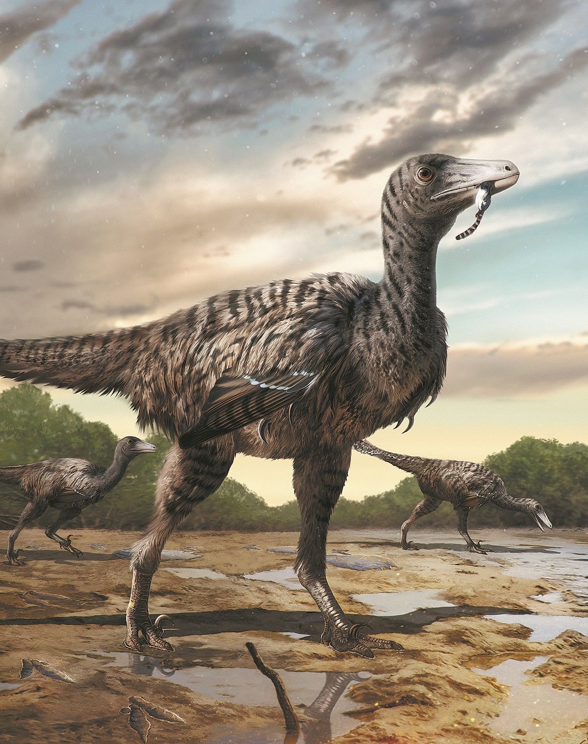 El deinoniquiosaurio más grande que se conoce se ilustra en esta recreación. Las huellas de la especie de dinosaurio extinta fueron encontradas recientemente en la provincia de Fujian. PARA USO DE CHINA DAILY