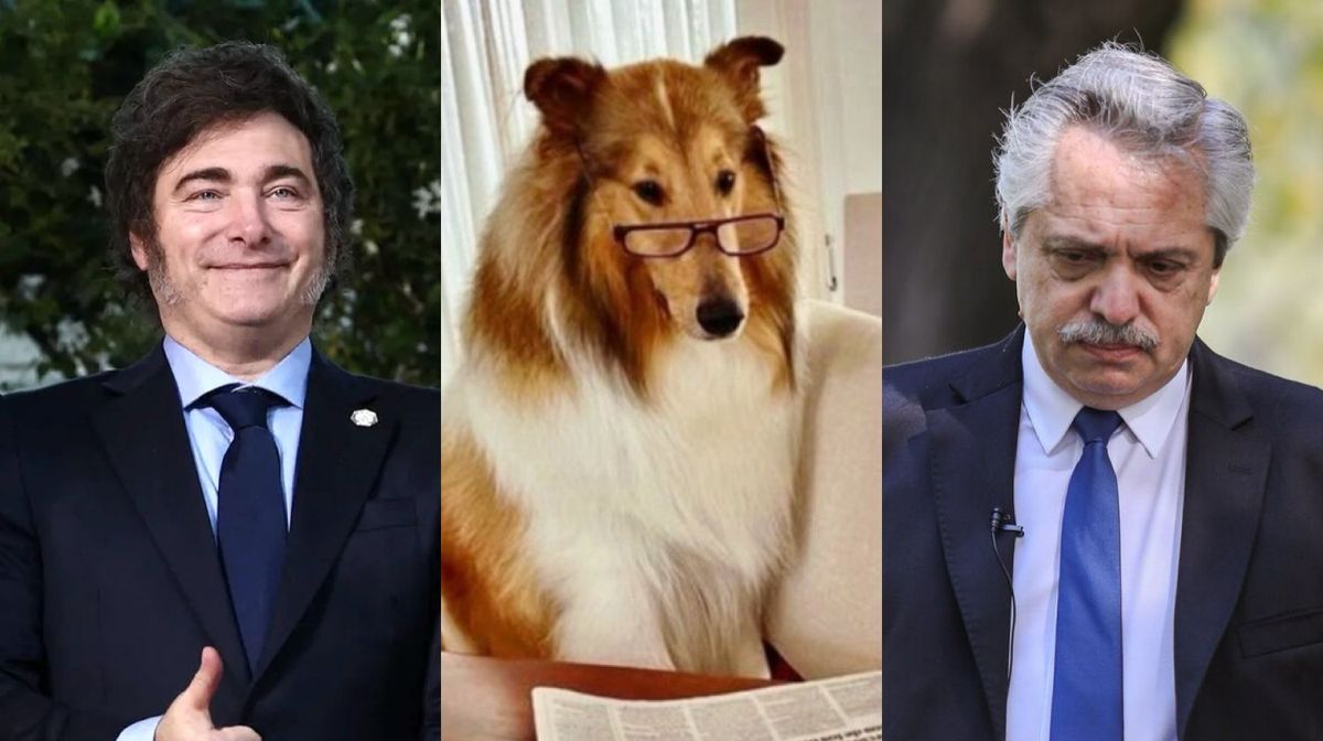 Javier Milei le volvió a ofrecer a Alberto Fernández adoptar a Dylan.