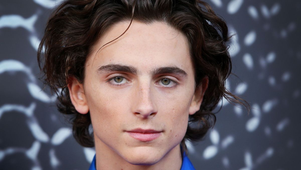 Amazon Prime Video y Timothée Chalamet deslumbran con esta feroz película