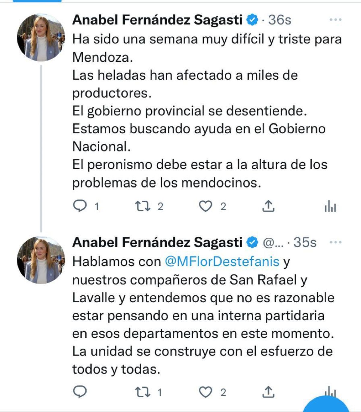 El hilo de Anabel Fernández Sagasti sobre las internas en el PJ.