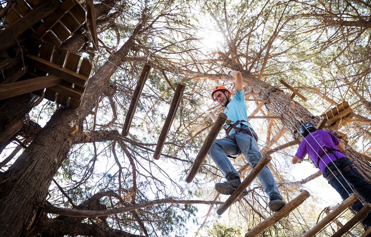 El arborismo es una de las atracciones para divertirse en altura y hay niveles de complejidad para todas las edades. El arborismo es una de las atracciones para divertirse en altura y hay niveles de complejidad para todas las edades.