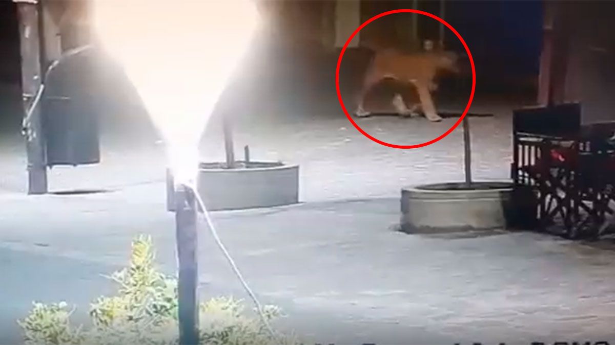 Las autoridades de la Municipalidad suspendieron las clases en diez escuelas y solicitaron que los vecinos no salgan de sus casas.