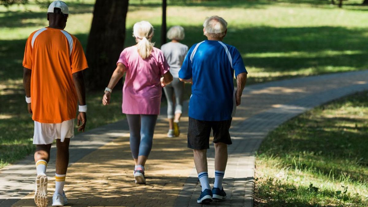 Un estudio en adultos con riesgos de padecer Alzheimer reveló que caminar entre 5.000 y 7.500 pasos diarios retrasaría los síntomas. Un estudio en adultos con riesgos de padecer Alzheimer reveló que caminar entre 5.000 y 7.500 pasos diarios retrasaría los síntomas.