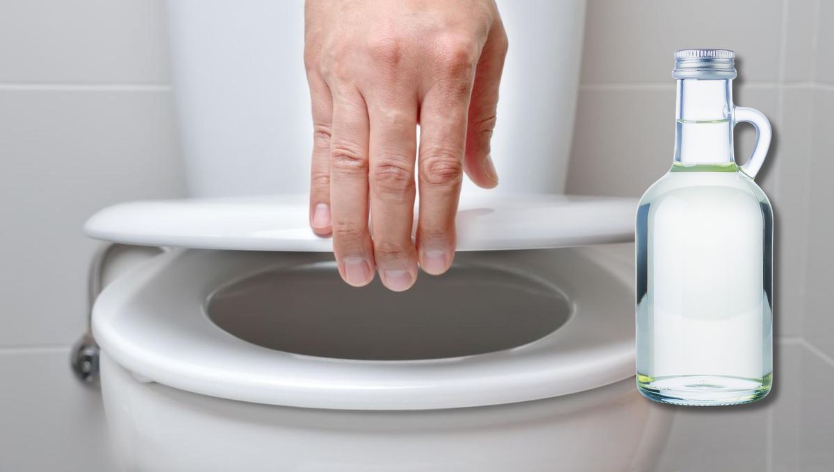El truco con vinagre para desinfectar la tapa del inodoro y dejarla libre de manchas amarillas