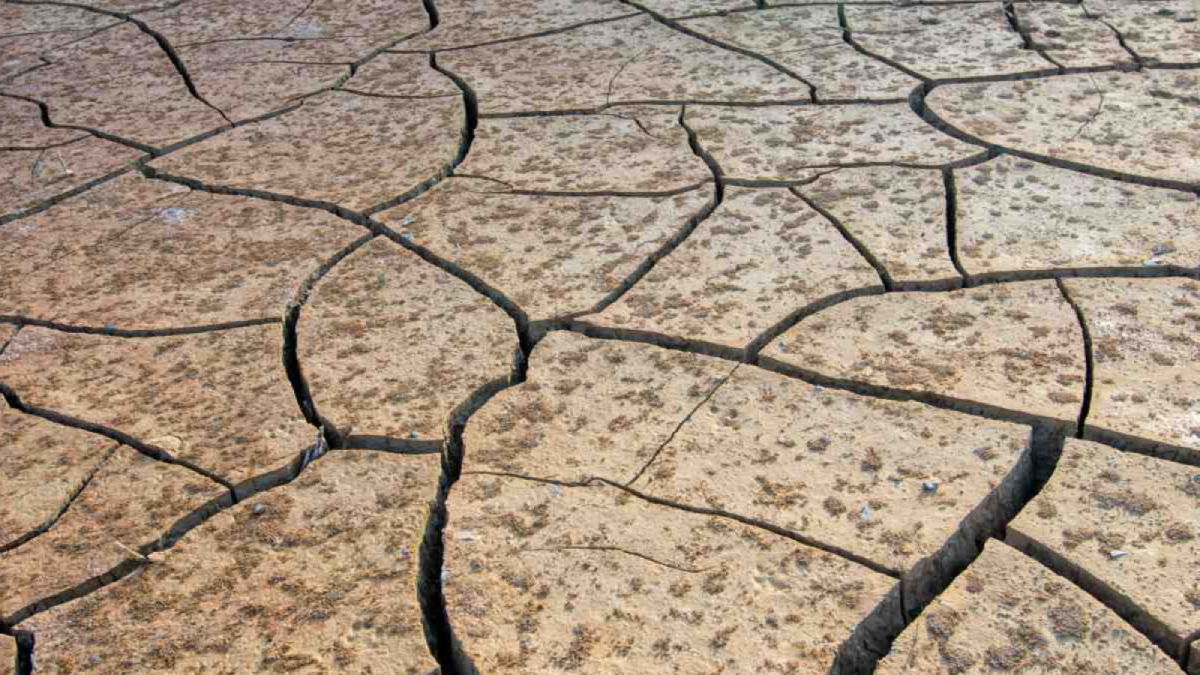 Efemérides. El Día de la Conservación del Suelo busca concientizar sobre la importancia de proteger las tierras productivas. Efemérides. El Día de la Conservación del Suelo busca concientizar sobre la importancia de proteger las tierras productivas.