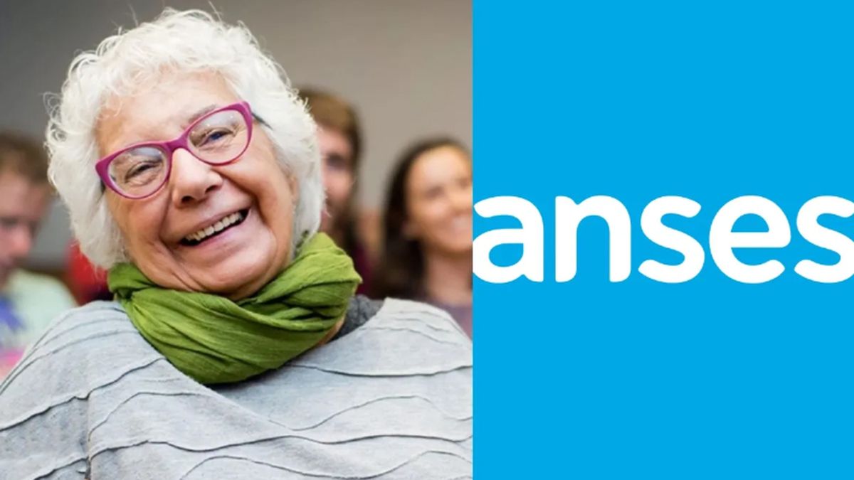 ANSES Milei sorprendió con el MONTO OFICIAL del aguinaldo de diciembre