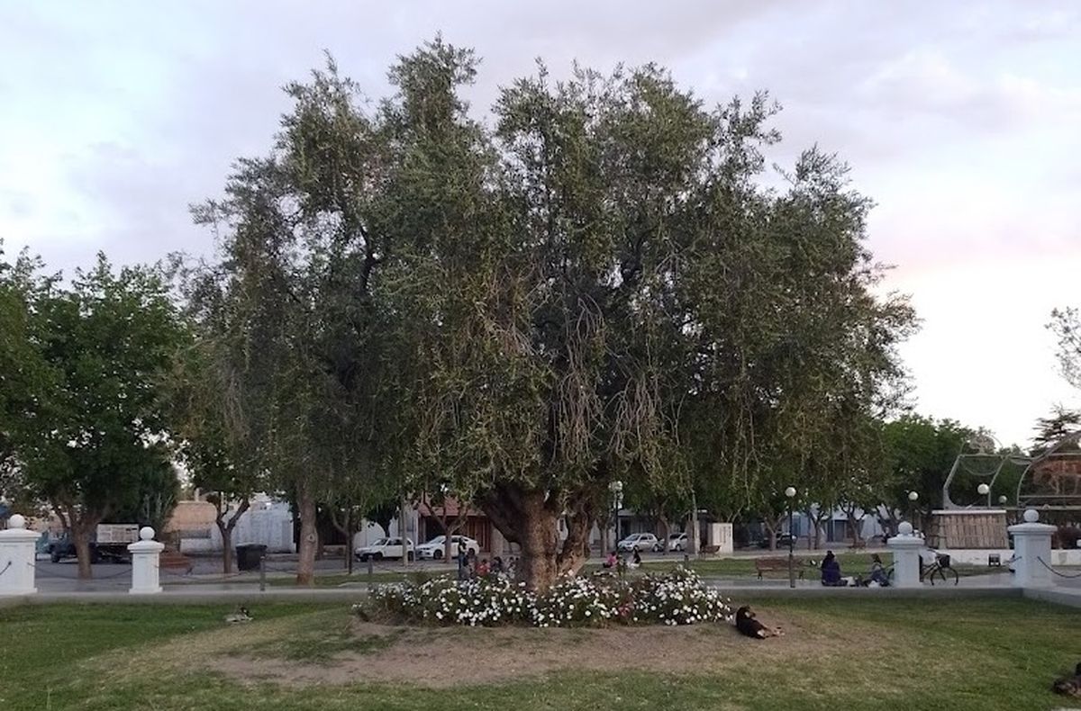 El resguardado ejemplar conocido como el El resguardado ejemplar conocido como el