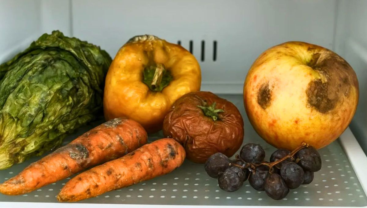 En muchas casas se suele tirar la comida sobrante o las verduras que se ponen feas. &nbsp;