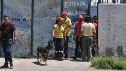 Los perros rastreadores