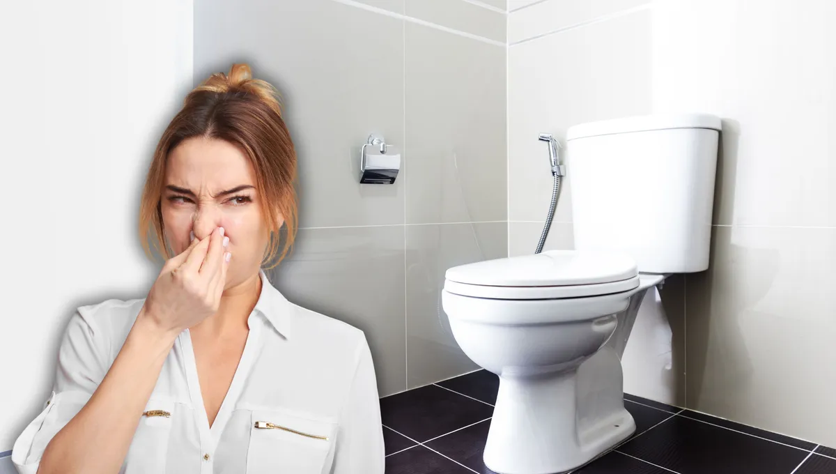 Evitá el mal olor del baño con un simple truco. Evitá el mal olor del baño con un simple truco.