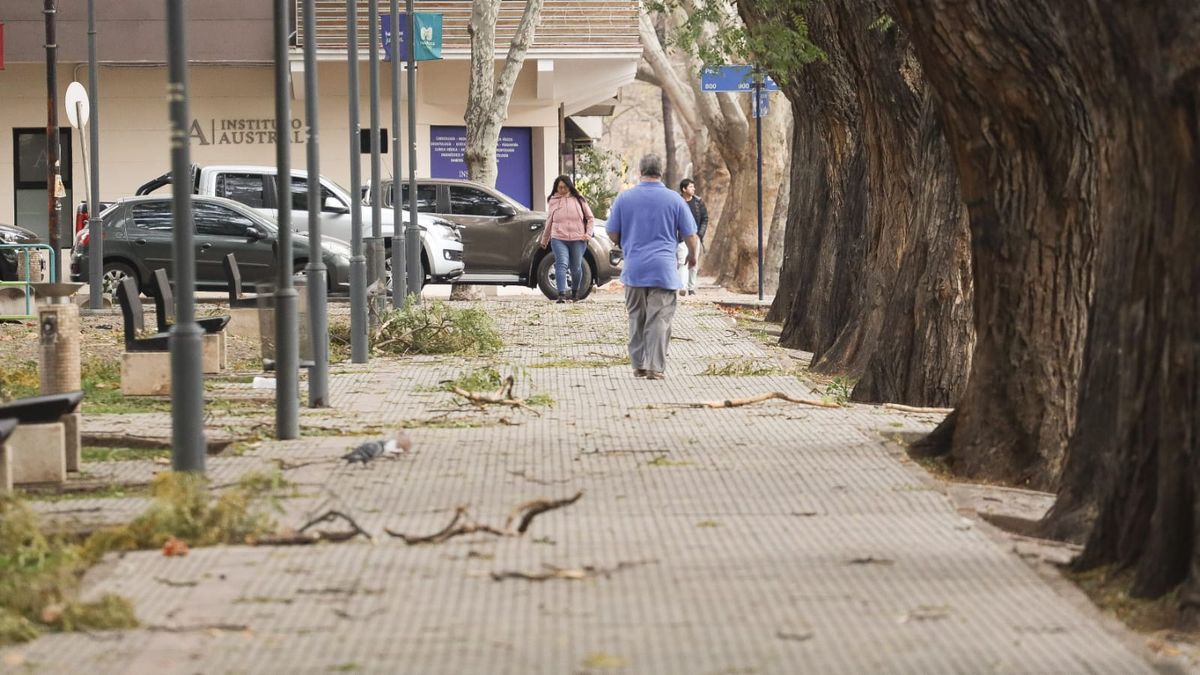 El viento Zonda soplaría en altura este lunes para bajar al llano el martes, según el pronóstico del tiempo en Mendoza. El viento Zonda soplaría en altura este lunes para bajar al llano el martes, según el pronóstico del tiempo en Mendoza.