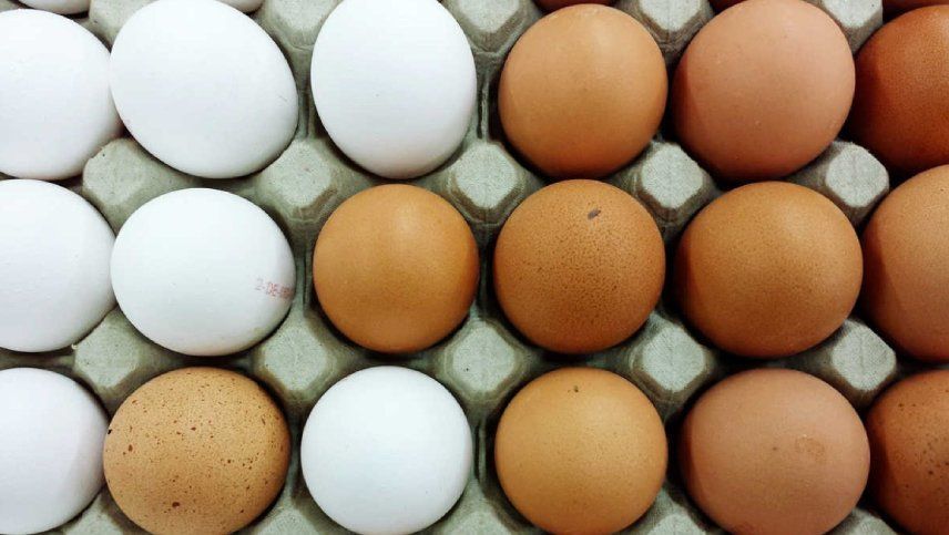 Los trucos caseros son la mejor manera de corroborar si un huevo está fresco o no.