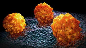 El genoma completo del cáncer permitirá detectarlo años antes de que aparezca un tumor y poder tratarlo