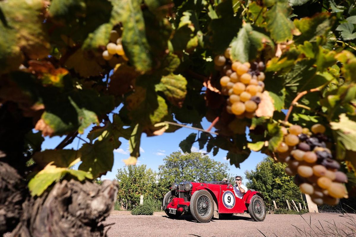 Los Penone. Daniel y Santiago. Los Penone. Daniel y Santiago.