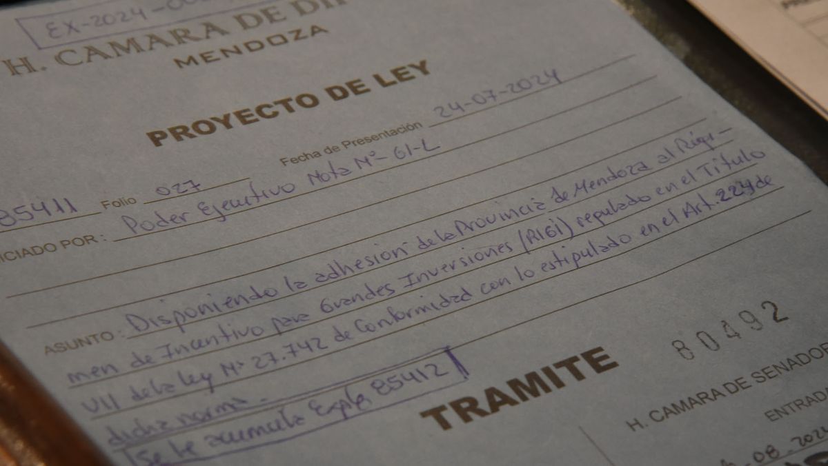 El proyecto de adhesión al RIGI fue impulsado desde el Ejecutivo provincial. El proyecto de adhesión al RIGI fue impulsado desde el Ejecutivo provincial.