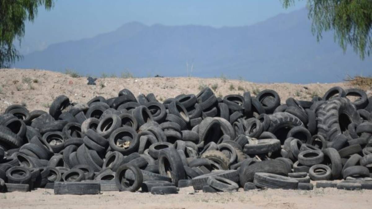 Los neumáticos viejos irán a un depósito y luego se reciclarán. 