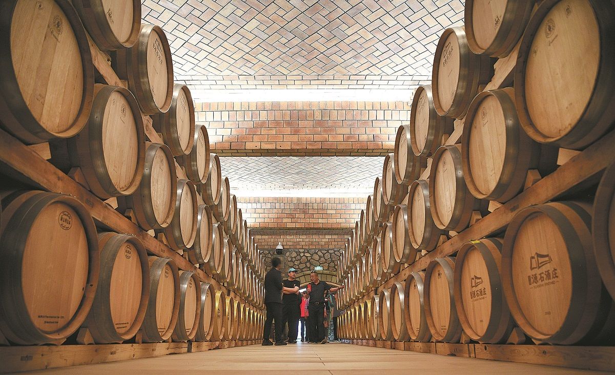 Los turistas visitan la bodega Yuanshi, que se encuentra en las estribaciones de las montañas Helan en Yinchuan, la capital de la Región Autónoma Hui de Ningxia. WANG PENG / XINHUA
