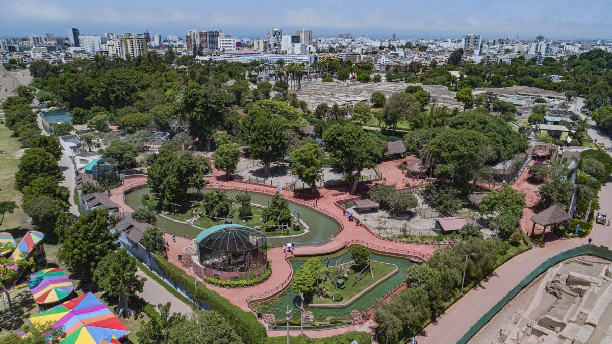 El Parque de las Leyendas le dedicará un día a los carpinchos.