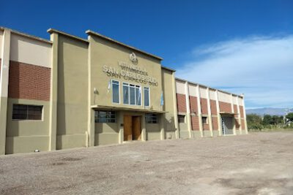 La cooperativa San Carlos Sud es una de las más grandes de la provincia. Había acordado venderle a Norton más de 420 mil litros de vino por alrededor de $503 millones en 2024. La cooperativa San Carlos Sud es una de las más grandes de la provincia. Había acordado venderle a Norton más de 420 mil litros de vino por alrededor de $503 millones en 2024.