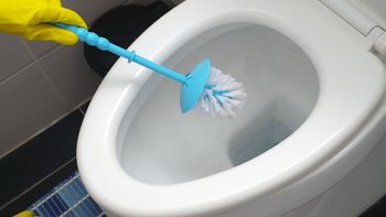 El truco para eliminar el sarro del inodoro y dejarlo brillante El truco para eliminar el sarro del inodoro y dejarlo brillante