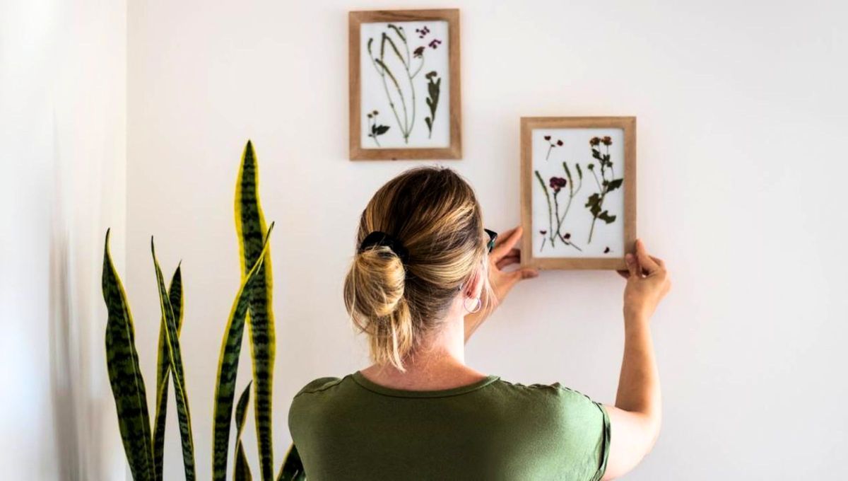 La decoración de tu casa será perfecta gracias a esta tecnología.