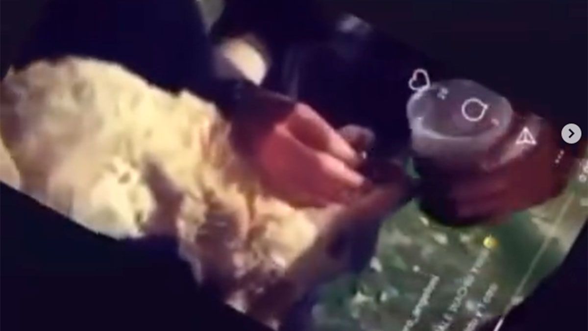 Captura de imagen del video que subieron los autores del cobarde maltrato animal que sufrió la perra Uma