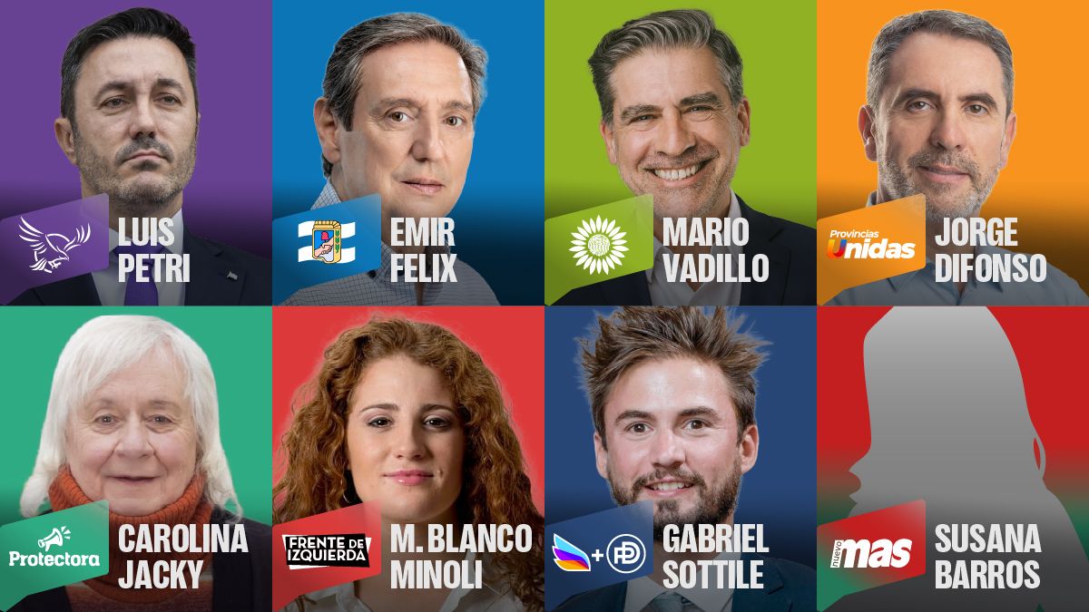 Las candidatas y candidatos para las elecciones del domingo 26 de octubre. El Partido de los Jubilados no lleva aspirantes a diputados nacionales.