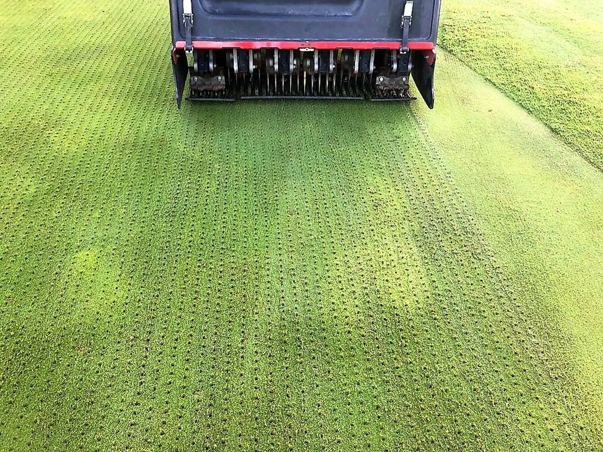 El truco secreto para revivir el césped de tu jardín en verano: crecerá más rápido El truco secreto para revivir el césped de tu jardín en verano: crecerá más rápido