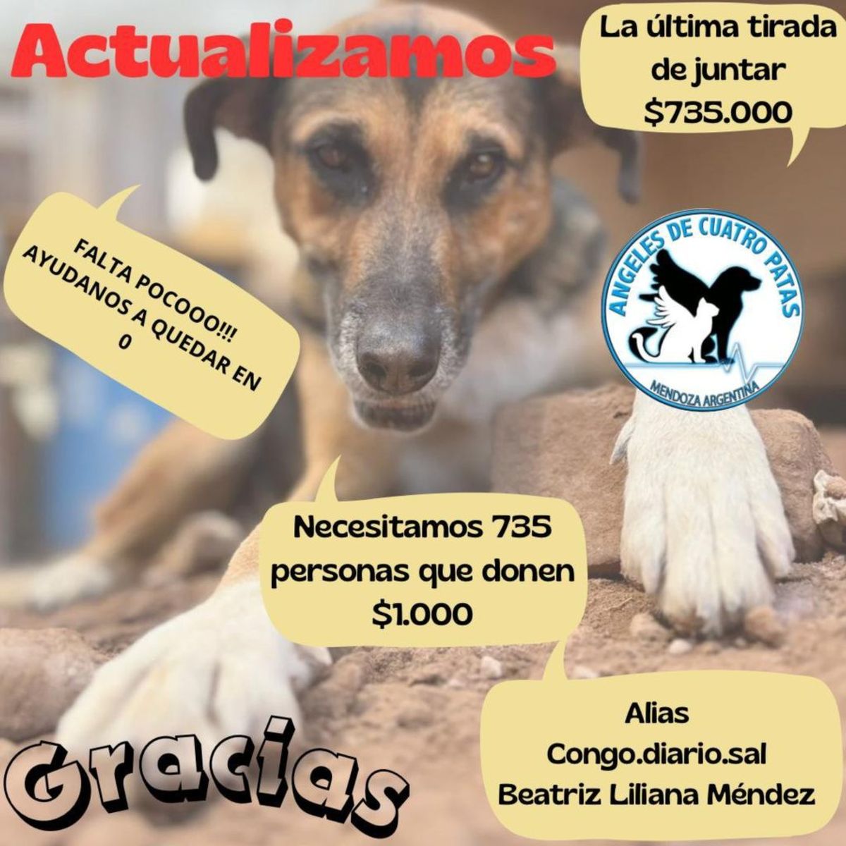 Con los aportes de la gente, el refugio para perros busca saldar la millonaria deuda con la veterinaria. Con los aportes de la gente, el refugio para perros busca saldar la millonaria deuda con la veterinaria.