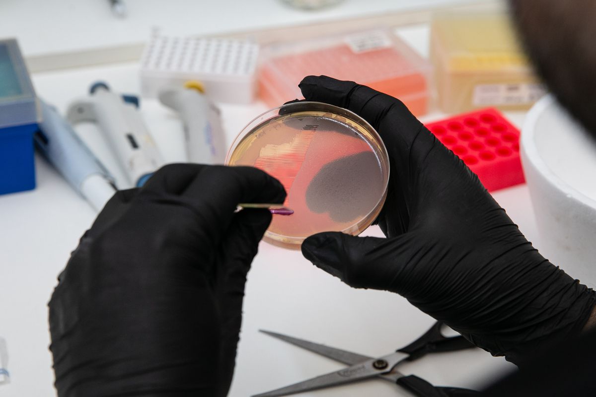 La UNCuyo lidera una red latinoamericana para impulsar la investigación biomédica. 