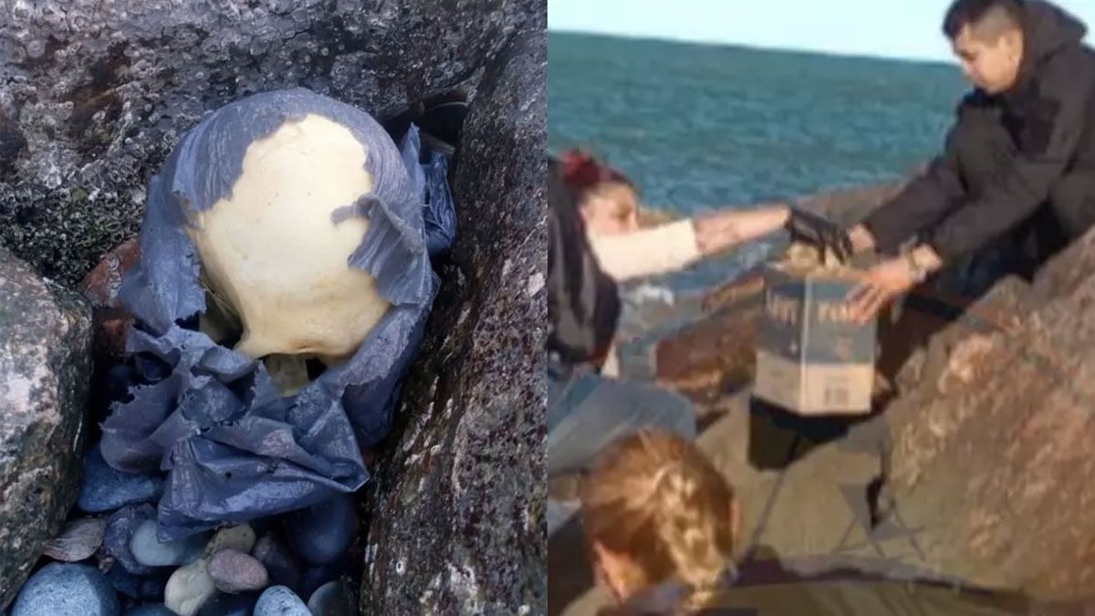 Encontraron un cráneo humano en una playa de Chubut: se reactivó el caso de los jubilados desaparecidos