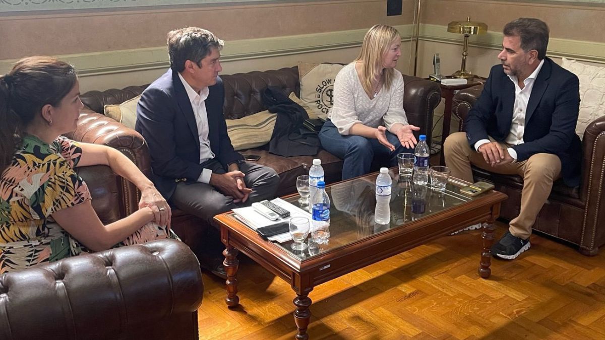 Los mendocinos Josefina Canale, Pablo Priore, Hebe Casado y Cristian Ritondo, en otra de las reuniones por el futuro del PRO. Los mendocinos Josefina Canale, Pablo Priore, Hebe Casado y Cristian Ritondo, en otra de las reuniones por el futuro del PRO.