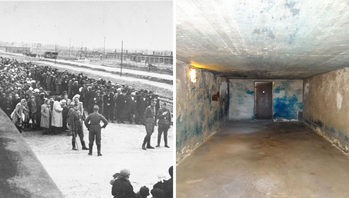 Conmemoración del Holocausto: 8 fotos ultra sensibles que marcaron la historia
