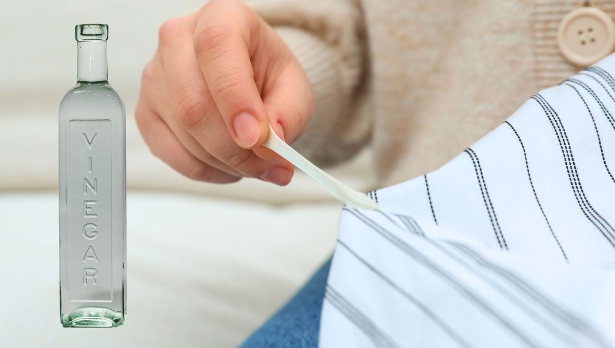 Utiliza vinagre de limpieza o vinagre de vino blanco. Utiliza vinagre de limpieza o vinagre de vino blanco. 