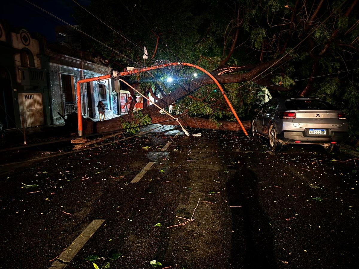 Daños en la Ciudad de Mendoza tras la caída de un árbol. Daños en la Ciudad de Mendoza tras la caída de un árbol.