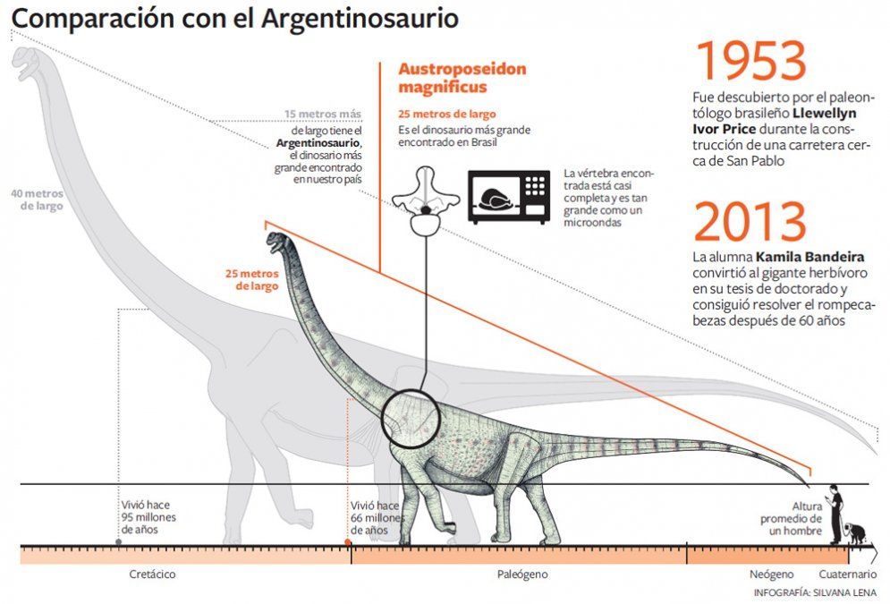 Los restos del mayor dinosaurio de Brasil estuvieron guardados por 60 años