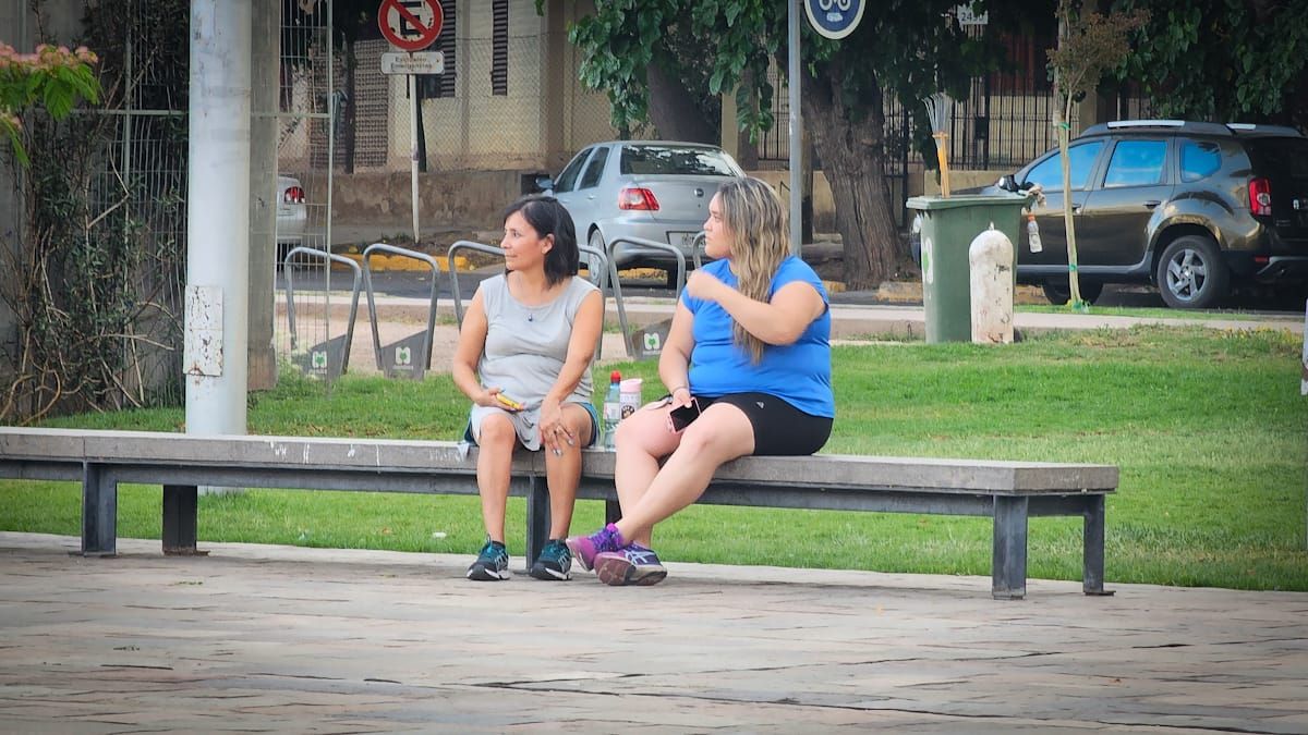 Durante el lunes se espera un día agradable con una máxima de 27 grados y para el martes llegaría el viento Zonda. Durante el lunes se espera un día agradable con una máxima de 27 grados y para el martes llegaría el viento Zonda.