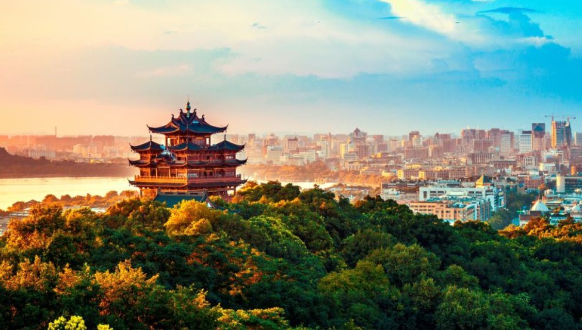 Su historia es un ejemplo claro de que la estrategia, la disciplina y una visión a largo plazo pueden reescribir el destino de un país entero.