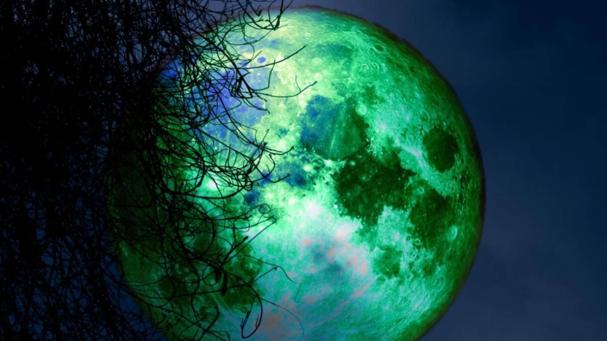 Luna del Castor: 3 rituales para hacer el 27 de noviembre.&nbsp;