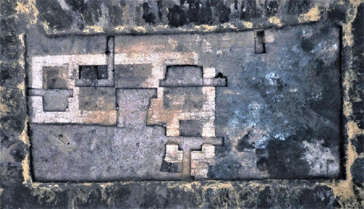 El sitio donde se llevó a cabo el curioso descubrimiento.