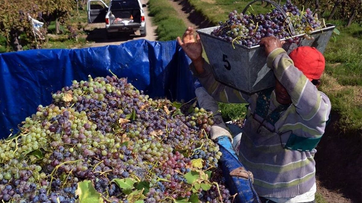 Iberte pidió la quiebra de Fecovita y ésta acusó extorsión.