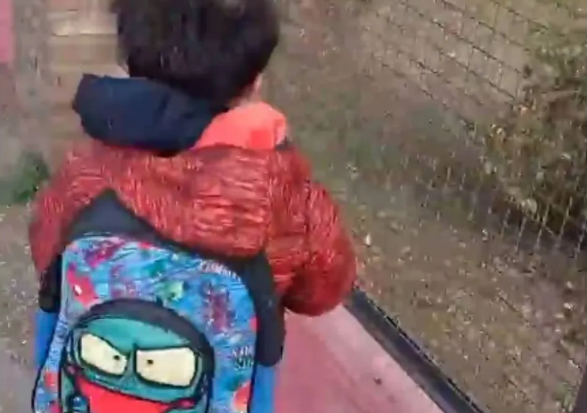 ¿Qué llevó? Video: la mochila de su hijo estaba pesada y lo que encontró fue inesperado.