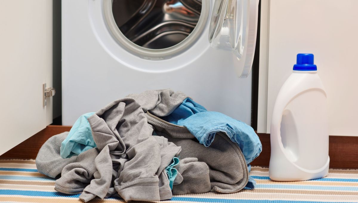 Con la lluvia y la humedad, la ropa y el calzado pueden impregnarse de olor y, en el peor de los casos, pueden aparecer hongos en los tejidos.&nbsp;