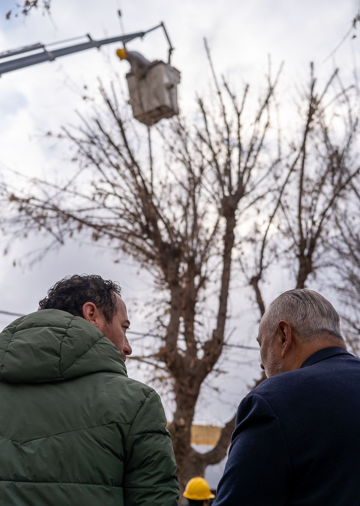 El intendente Alejandro Morillas junto a t&eacute;cnicos del municipio en un operativo en el arbolado p&uacute;blico. Foto: Municipalidad de San Carlos.