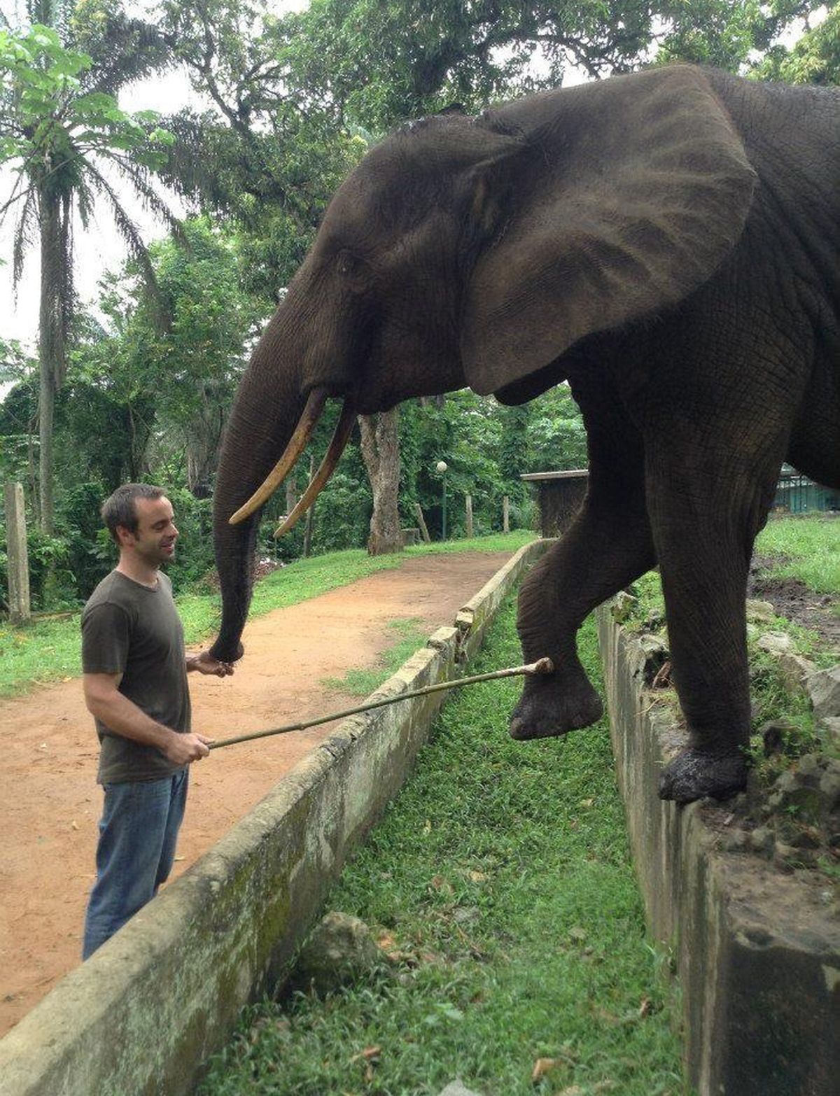 Desde chico, Ingo quiso dedicar su vida al cuidado de los animales. Ahora trabaja para llevarse a los últimos elefantes que quedan en Argentina hacia el Santuario de Brasil.
