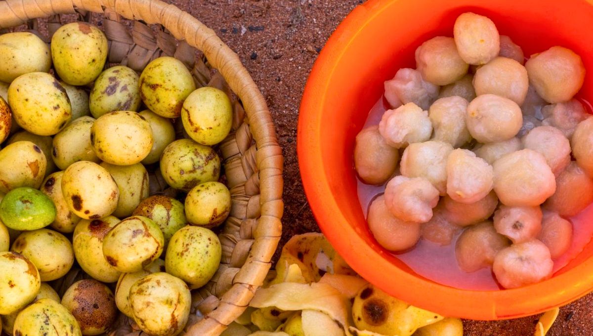 Las frutas fermentadas o en descompósición pueden afectar en cierto grado a algunos animales, pero son varios los factores que influyen Foto: Cocinatis Las frutas fermentadas o en descompósición pueden afectar en cierto grado a algunos animales, pero son varios los factores que influyen Foto: Cocinatis