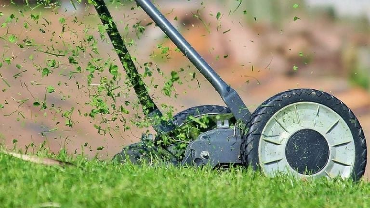 El fertilizante casero de 4 ingredientes ideal para mantener verde el césped del jardín El fertilizante casero de 4 ingredientes ideal para mantener verde el césped del jardín