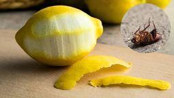 La cáscara de limón es el ingrediente principal en esta mezcla